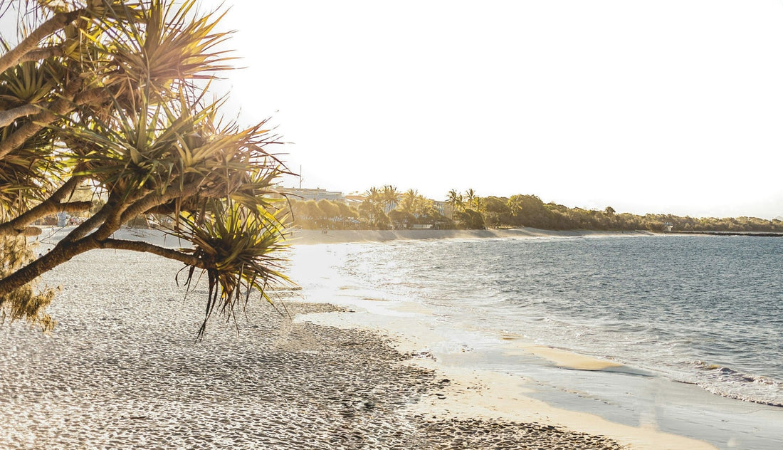 Dive into the Beach Craze: The Story Behind Sand-Free Towels - Kaspian